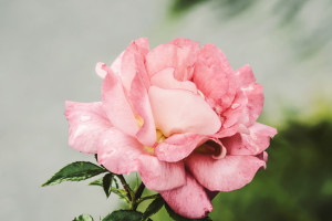 年度盘点！那些让球迷热血沸腾的网球史诗级对决，你还记得吗